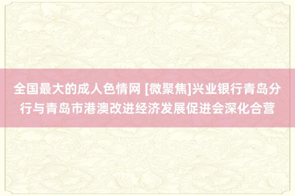全国最大的成人色情网 [微聚焦]兴业银行青岛分行与青岛市港澳改进经济发展促进会深化合营