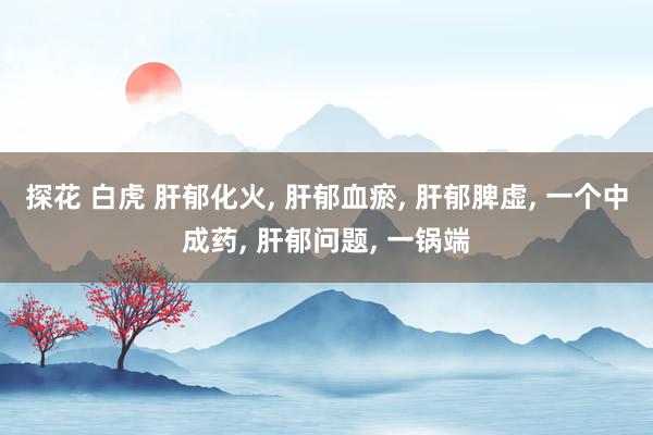 探花 白虎 肝郁化火， 肝郁血瘀， 肝郁脾虚， 一个中成药， 肝郁问题， 一锅端
